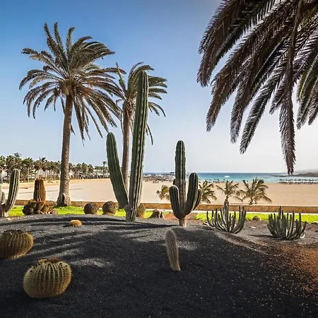 Barcelo Fuerteventura Royal Level - Adults Only 酒店 4*