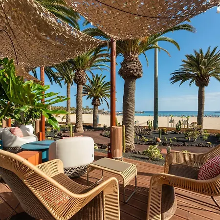 酒店 Barcelo Fuerteventura Royal Level - Adults Only 4*