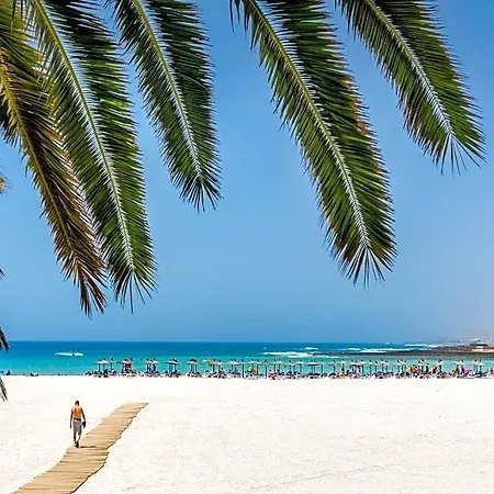 Barcelo Fuerteventura Royal Level - Adults Only 4*