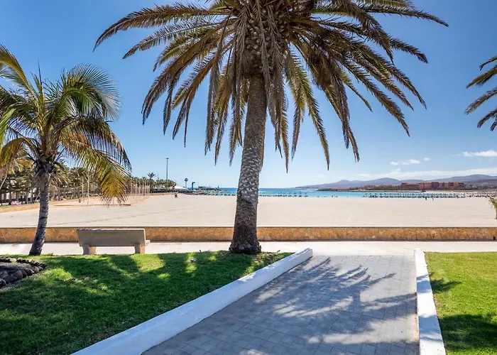 Barcelo Fuerteventura Royal Level - Adults Only ホテル 4*